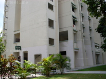 Blk 827A Tampines Street 81 (S)521827 #98252